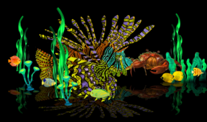 Geschichte des Fisches im Wasserteich