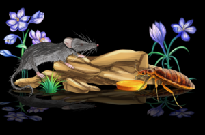 Der Floh und die Mäuse