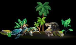 Geschichte des Rebhuhns mit den Schildkröten