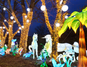 Magische Lichterwelten 2025/26 im Zoo Halle