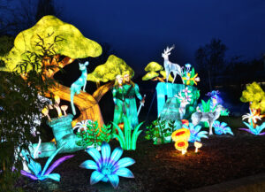 Magische Lichterwelten 2025/26 im Zoo Halle
