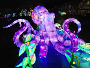 Magische Lichterwelten 2025/26 im Zoo Halle