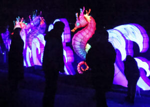 Magische Lichterwelten 2025/26 im Zoo Halle