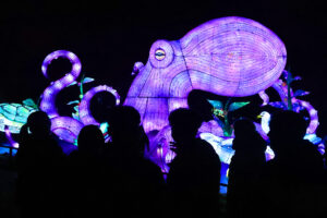 Magische Lichterwelten 2025/26 im Zoo Halle