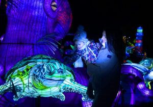 Magische Lichterwelten 2025/26 im Zoo Halle