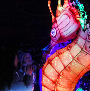 Magische Lichterwelten 2025/26 im Zoo Halle