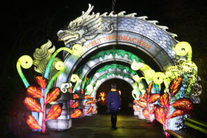 Magische Lichterwelten 2025/26 im Zoo Halle