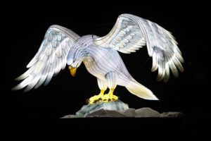 Magische Lichterwelten 2025/26