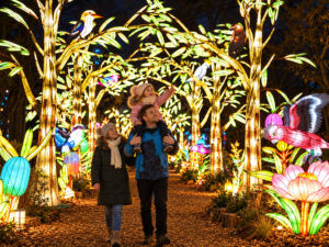 Magische Lichterwelten 2026/27: Die letzten Paradiese unserer Erde