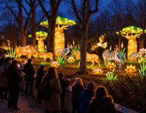 Magische Lichterwelten 2026/27: Die letzten Paradiese unserer Erde